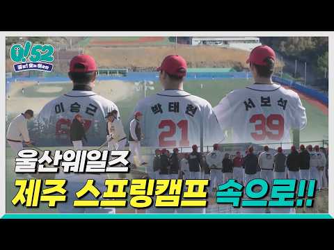 [생방송 0!52] 울산웨일즈, 제주 스프링캠프 속으로