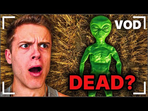 Reacts Day #442 | Joe Bartolozzi