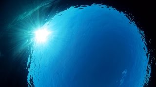 Is Hope for Weak People? One Man's Journey through Life with MS | Richard M. Cohen