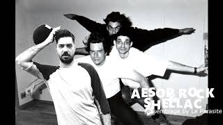 AESOP ROCK &amp; SHELLAC &quot;5 FINGERS &amp; RIDING THE BIKE&quot; Le Parasite edit