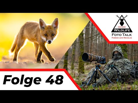 Nico Sonnabend - The Art of Camouflage in Wildlife Photography