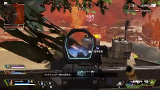 APEX 野良どんかちとりたい