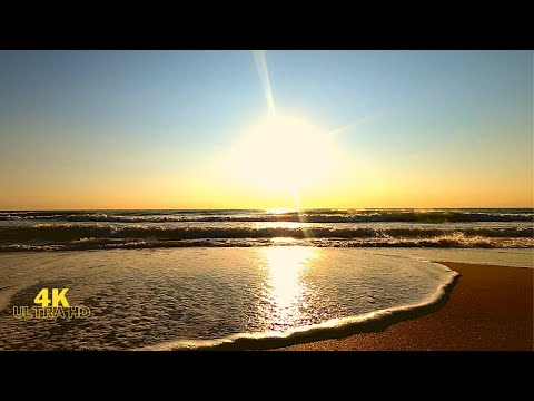 4K |Golden sunrise at the beach sounds for sleeping with seagulls 30 min. Relaxing morning sea sound