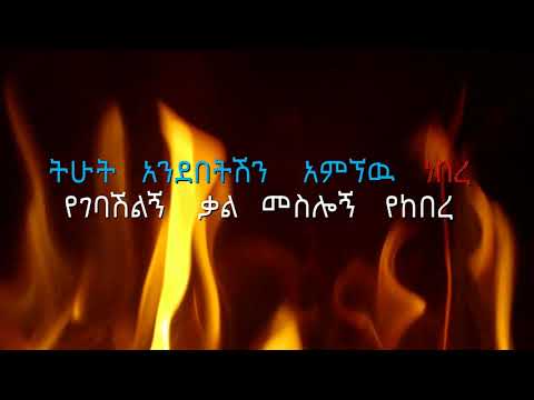 Ermias Asfaw Tihut Andebetish (ትሁት አንደበትሽን) Ethiopian Music Lyrics Video