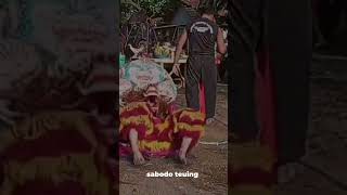 Download lagu aksi salto barongan surya singo banyu langit #shorts mp3 Download lagu aksi salto barongan surya singo banyu langit #shorts mp3