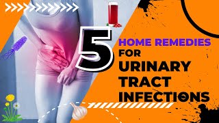 5 Home Remedies for Urinary Tract Infections | UTI  Home Remedies | UTIs
