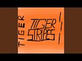 Tiger Stripes