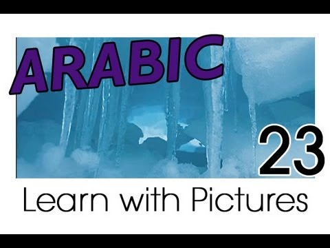 Learn Arabic Arabic Vegetable Vocabulary