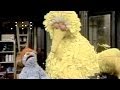 Classic Sesame Street Big Bird Learns About Braille