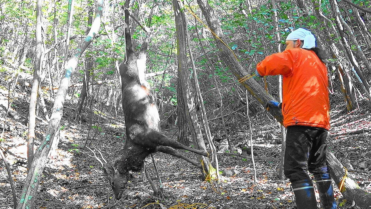 わな猟日誌（その７）