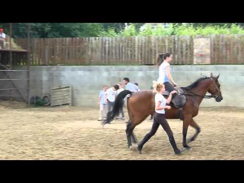 Lovasnap - 2013.06.22. (3)