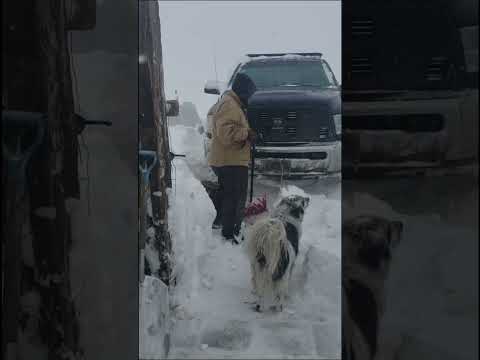 Record snow fall in Casper Wyoming.
