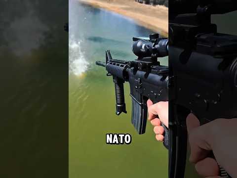 The World's 3 Most Powerful Assault Rifles