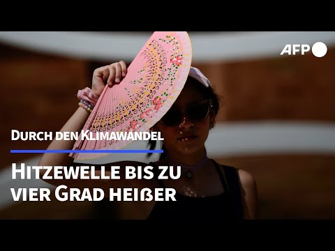 Video Thumbnail: Studie: Hitzewelle durch Klimawandel bis zu vier Grad heißer | AFP