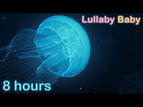 ☆ 8 HOURS ☆ UNDERWATER SOUNDS with MUSIC ♫ ☆ NO ADS ☆ Relaxing Sleep Music, Stress Relief, NO ADS