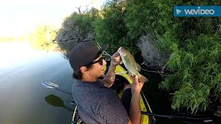 Los banos bass fishing. L.B.GAME-TIME! Anglers. Robby RobDog Shepherd. V.E3