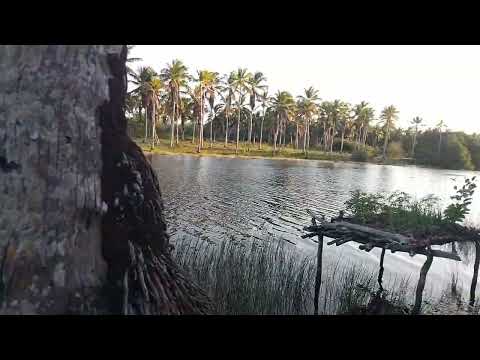 #Lago em pau darco Itapipoca.Ce 