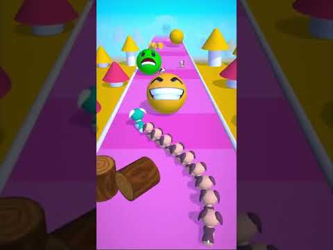 Pet Run 3D