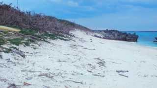 preview picture of video '12 January 2014 shinaha beach yoron island japan'