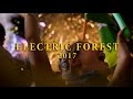 Once Upon The Forest Heroes