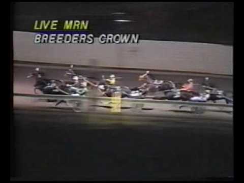 Breeders Crown 1988 3YO C/G Trot  - Firm Tribute / Mark O'Mara