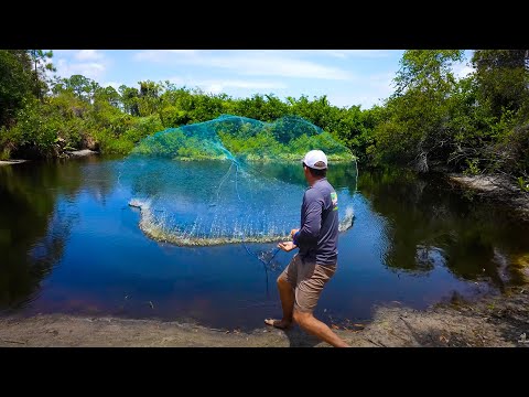 What lives in this little pond? {Let's find out!} Cast Netting 1000's of fish