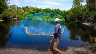 What lives in this little pond? {Let&#39;s find out!} Cast Netting 1000&#39;s of fish