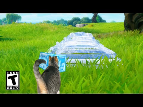 My Cat Hit This Clip in Fortnite..