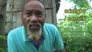 Download lagu Pak dul mp3