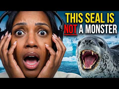 LEOPARD SEALS ARE NOT WHAT YOU THINK | CASUAL GEOGRAPHICS | BRITTREACTS