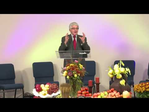 Zahvalnost kao zivotni stil - Lune Randjelovic