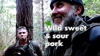 Sweet & sour wild pork