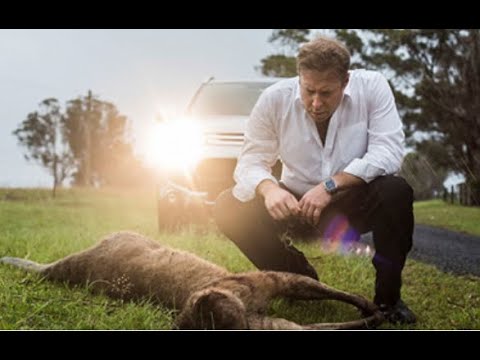 The Kangaroo Guy - Short film