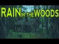 🎧 RAIN SOUNDS IN THE WOODS | Ambient Noise For Sleep, Relaxation and Studying | @Ultizzz day#9