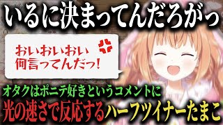 聞き捨てならないコメントに思わずツッコんでしまう雲母たまこ♪【雲母たまこ/にじさんじ/切り抜き】