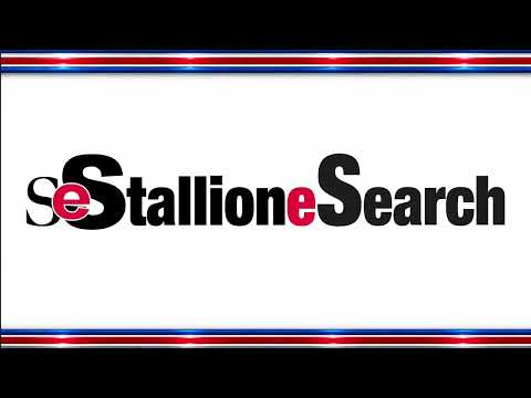 2026 Ruidoso Select Yearling Sale Recap-Session 1 (VIDEO)
