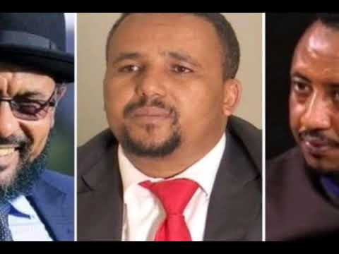 Tigrinya Evening News for August 11 2020 Harnet-Tv