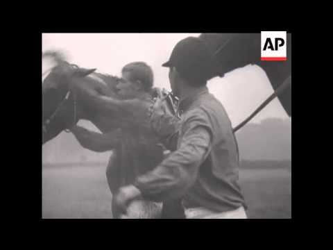 PARDUBICE STEEPLECHASE