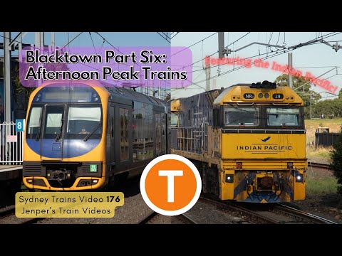Sydney Trains Video 176 - Blacktown Part Six: Afternoon Peak Trains