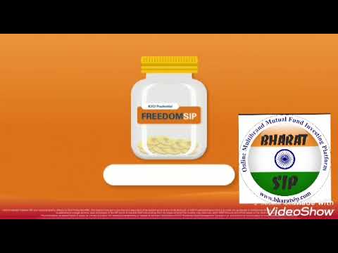 Focused equity debt mutual funds online service