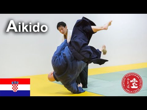 Aikido - Big throw softly and freely in Croatia by Shirakawa Ryuji shihan