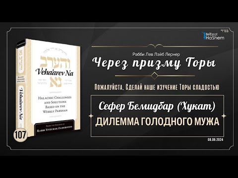 𝟭𝟬𝟳. Через призму Торы: Дилемма голодного мужа | Бемидбар (Хукат) | Рабби Лев Лэйб Лернер