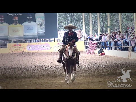 2016 Caladero Futurity Champion - Juan Villaseñor - 2016 THV Millionaire Championship