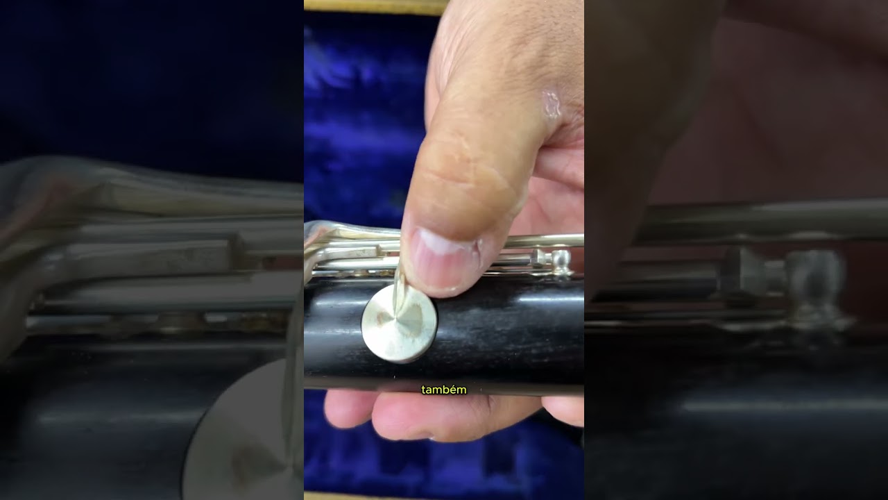 Clarinete Sib 17 Chaves Prateadas Corpo Madeira Grenadilha Yamaha