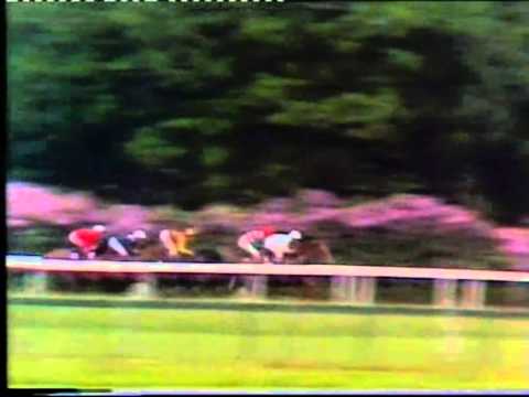 1984 Prince Of Wales Stakes Morcon