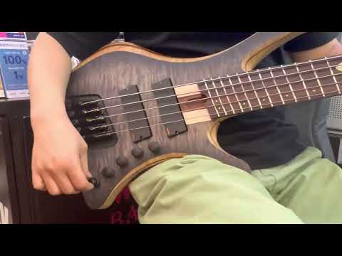 Skervesen Shoggie 5st Multi Scale