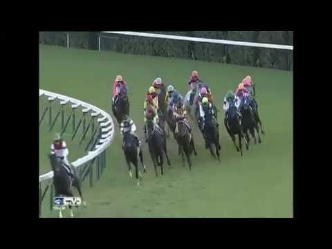 2015.11.15 Queen Elizabeth II Cup (JPN) - Marialite