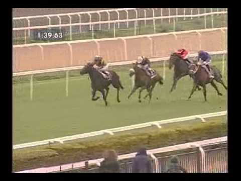 Premio Parioli 2014 (GR3)