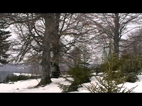 Cabana Bogdan - pasul Bucin