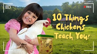 10 Things Chickens Taught Me + Why They LOVE GrubTerra Treats